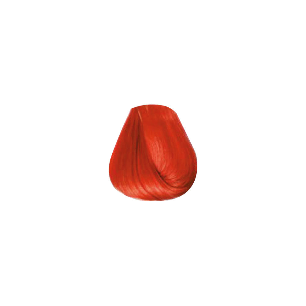 COLORTRIBE_ORANGE