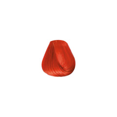COLORTRIBE_ORANGE