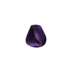 COLORTRIBE_VIOLET