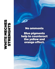 WHITE MECHES - BLEACH POWDER 1 KILO