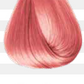 COLORTRIBE_FLAMINGO