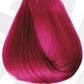 COLORTRIBE_MAGENTA