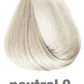 COLORTRIBE_NEUTRAL