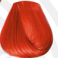 COLORTRIBE_ORANGE