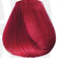 COLORTRIBE_RED